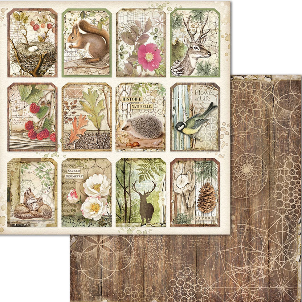 Thumbnail: Forest 8x8 Paper Pack by Stamperia - 10 Double Sided Design Papers