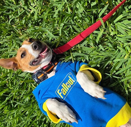 NukaCola Fallout Sweater A.jpg