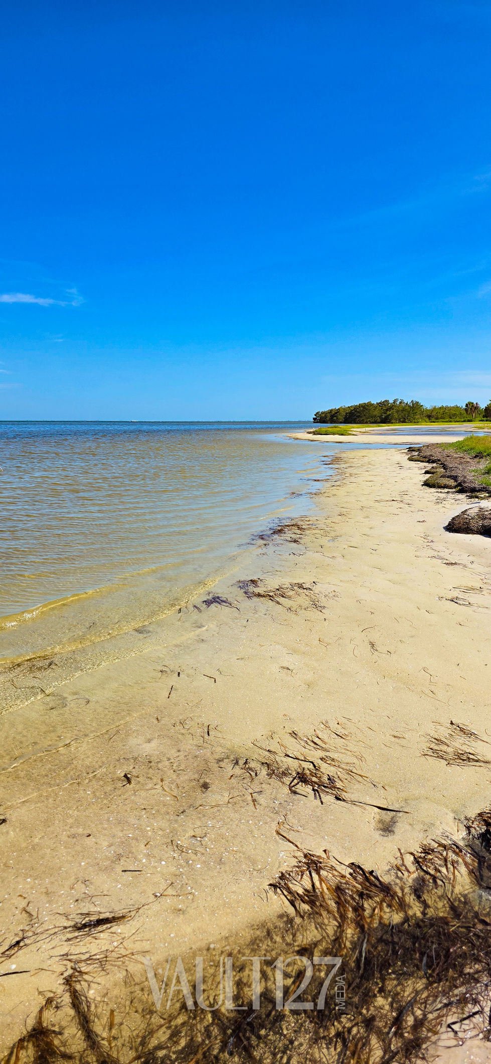 Sandy beach with clear blue sky and water.