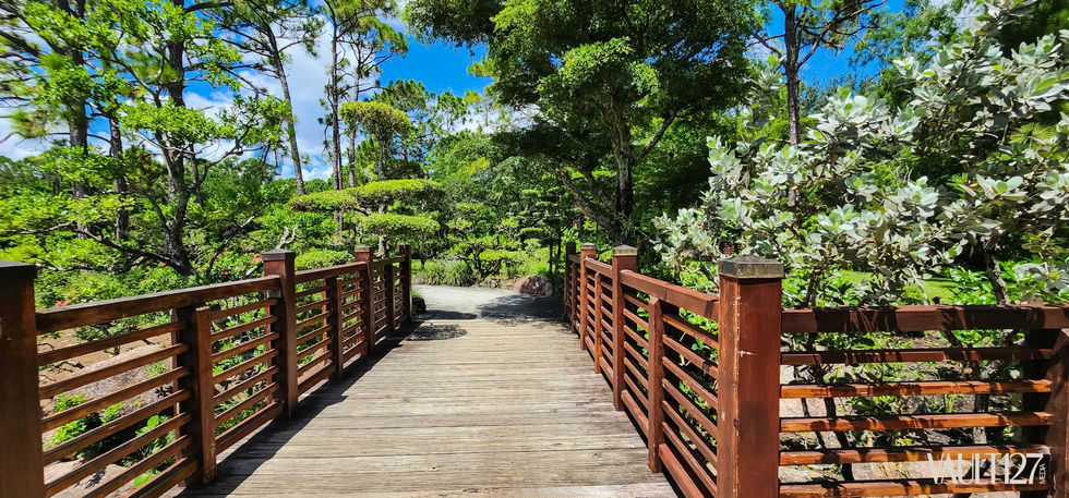 Wooden bridge surrounded by lush green trees.