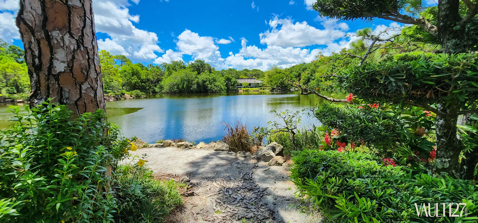 Lakeside view with lush greenery and blue sky.