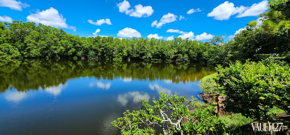 Lake with trees and blue sky reflection.