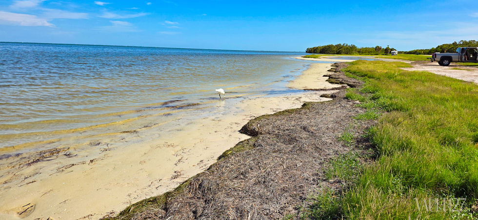 Sandy beach with ocean and clear blue sky.