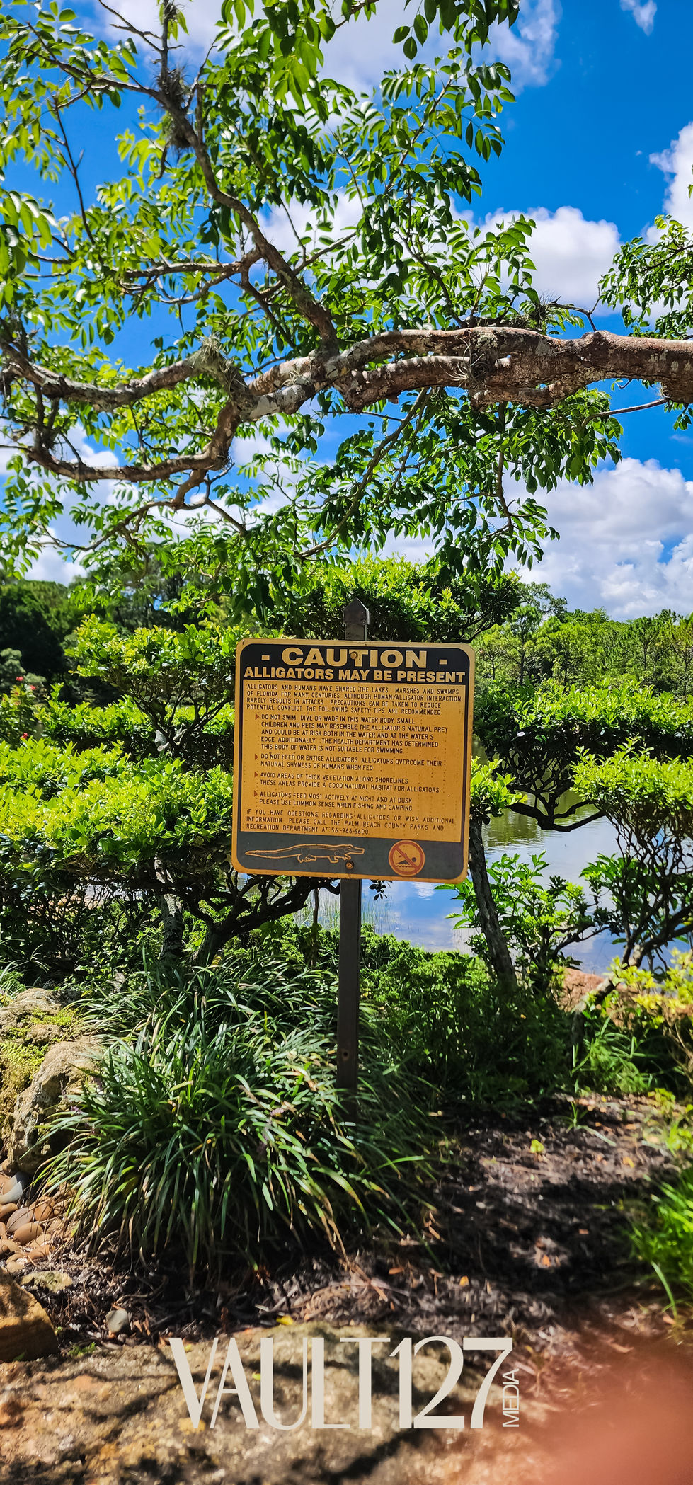 Caution sign surrounded by lush green foliage.