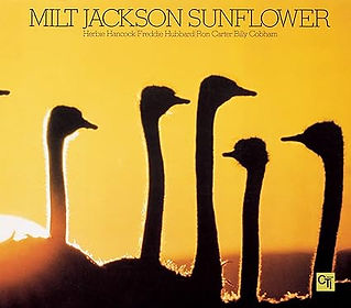 Milt Jackson Sunflower.jpg