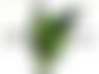 EP REVIEW: LXSTBØY - JACKAL