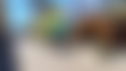 Elektra y Banco Azteca inauguraron nuevo concepto comercial en Sacatepéquez y Jutiapa, 2023