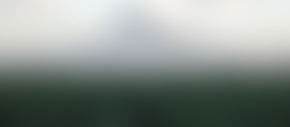 Grupo Magdalena contribuye a la protección del Medio Ambiente en Guatemala