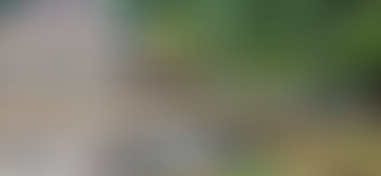 BCIE destina 1 millón de dólares a familias guatemaltecas afectadas por eventos climáticos