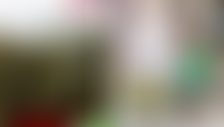 Atributos y beneficios del Cardamomo, según Cardex