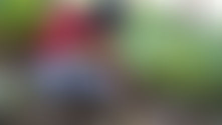 CARDEX continúa fortaleciendo relaciones con productores de cardamomo en Guatemala