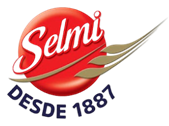 Logo Selmi