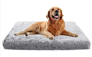 ECO friendly dog bed