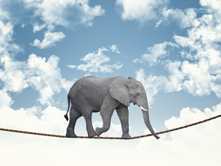 Need help? Two winning, authentic and creative communications packages that get the results your bus