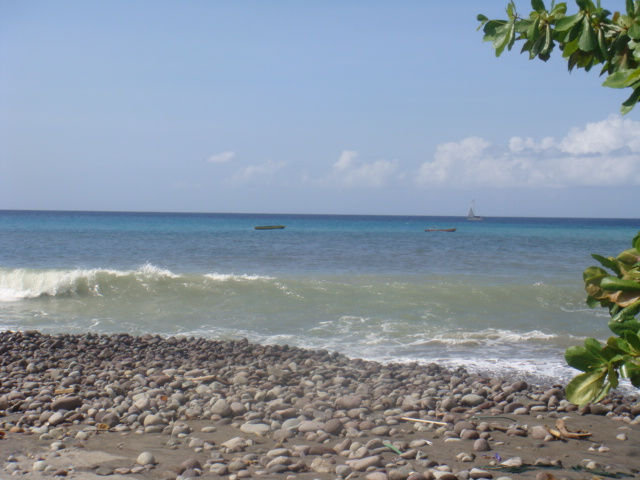 DSC01522.JPG