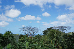 Luxury villa, vacation home rentals