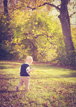 Screen Shot 2017-06-01 at 7.32.34 PM