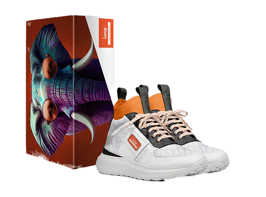 Luxup-shoes-with_box (1)_edited.png