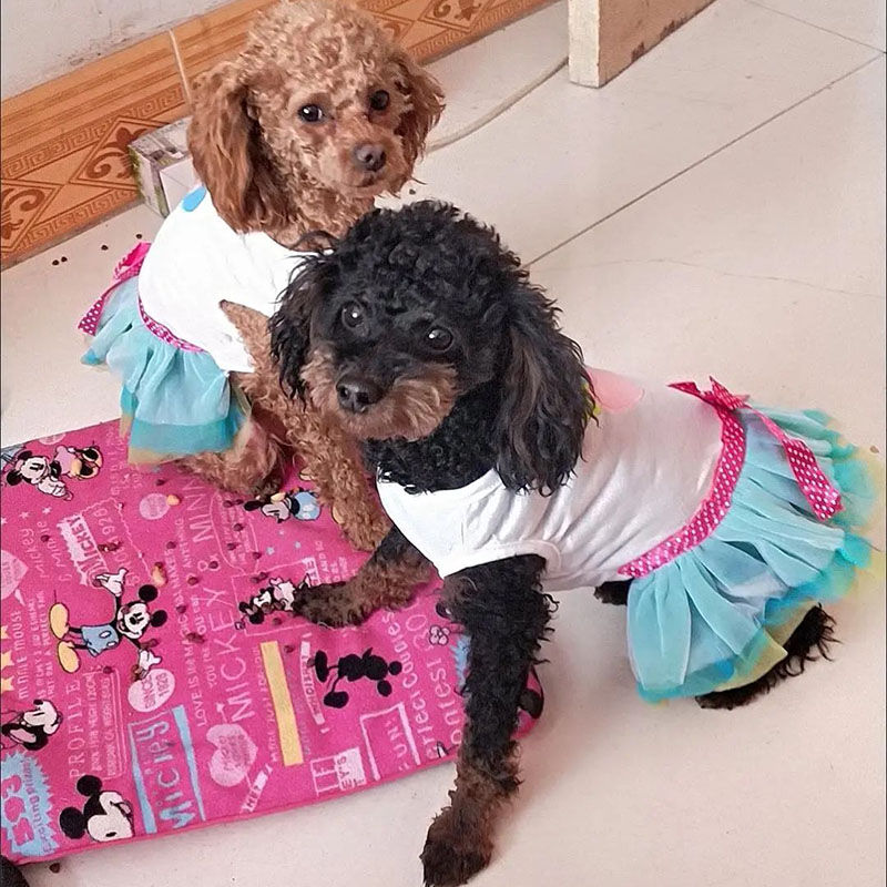 Thumbnail: Dog Dress Luxury Puppy Skirt Clothes Princess Dresses Wedding Evening Tutu Skirt