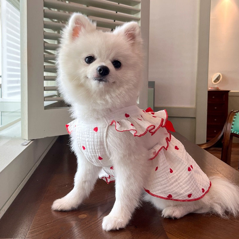 Thumbnail: Luxury Dog Clothes Heart Print Bow Dress Chihuahua Sweet Skirts Puppy Dress for 