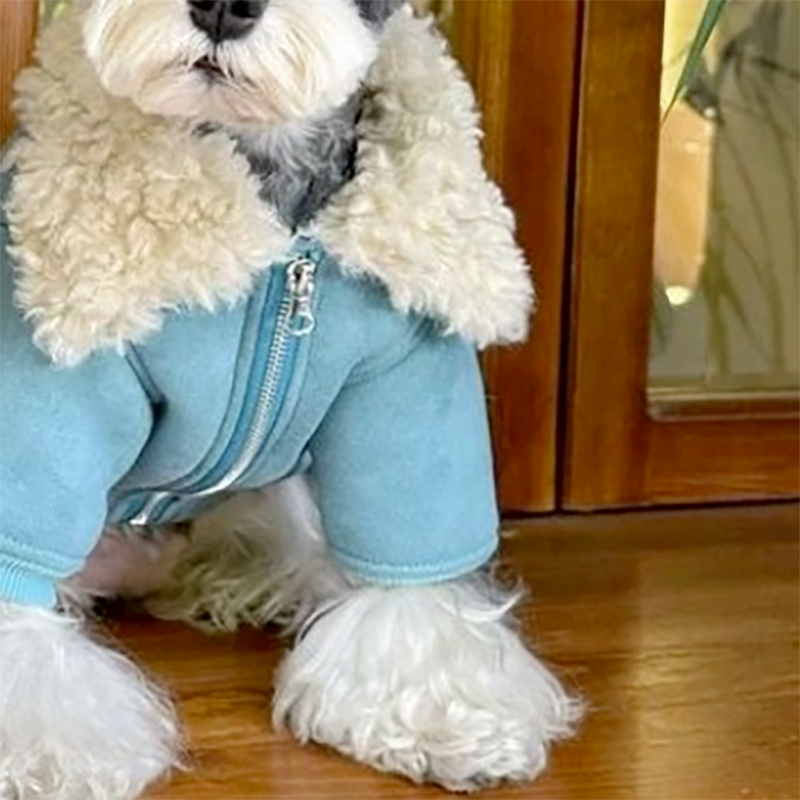 Thumbnail: Pet Dog Clothes Corduroy and Velvet Jacket Pet Legs Lamb Fur Collar Coat Jacket 