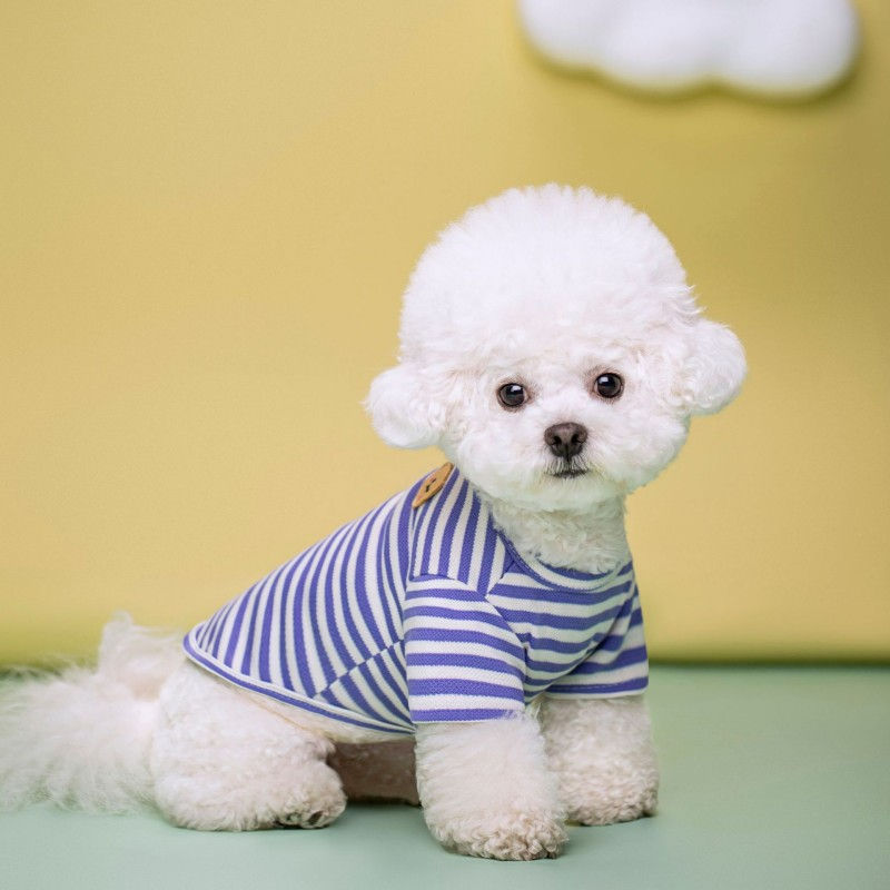 Thumbnail: Summer Pet Clothes for Small Dogs Fashion Dog Shirt Bear Print Puppy Thin Shirt 