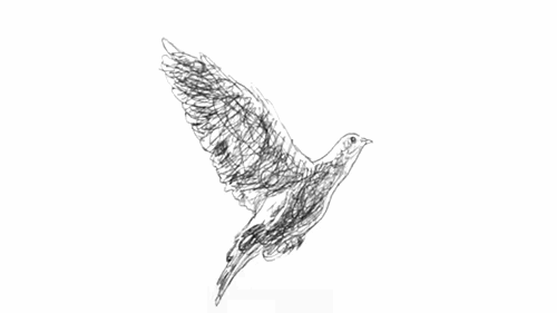 R (2).gif