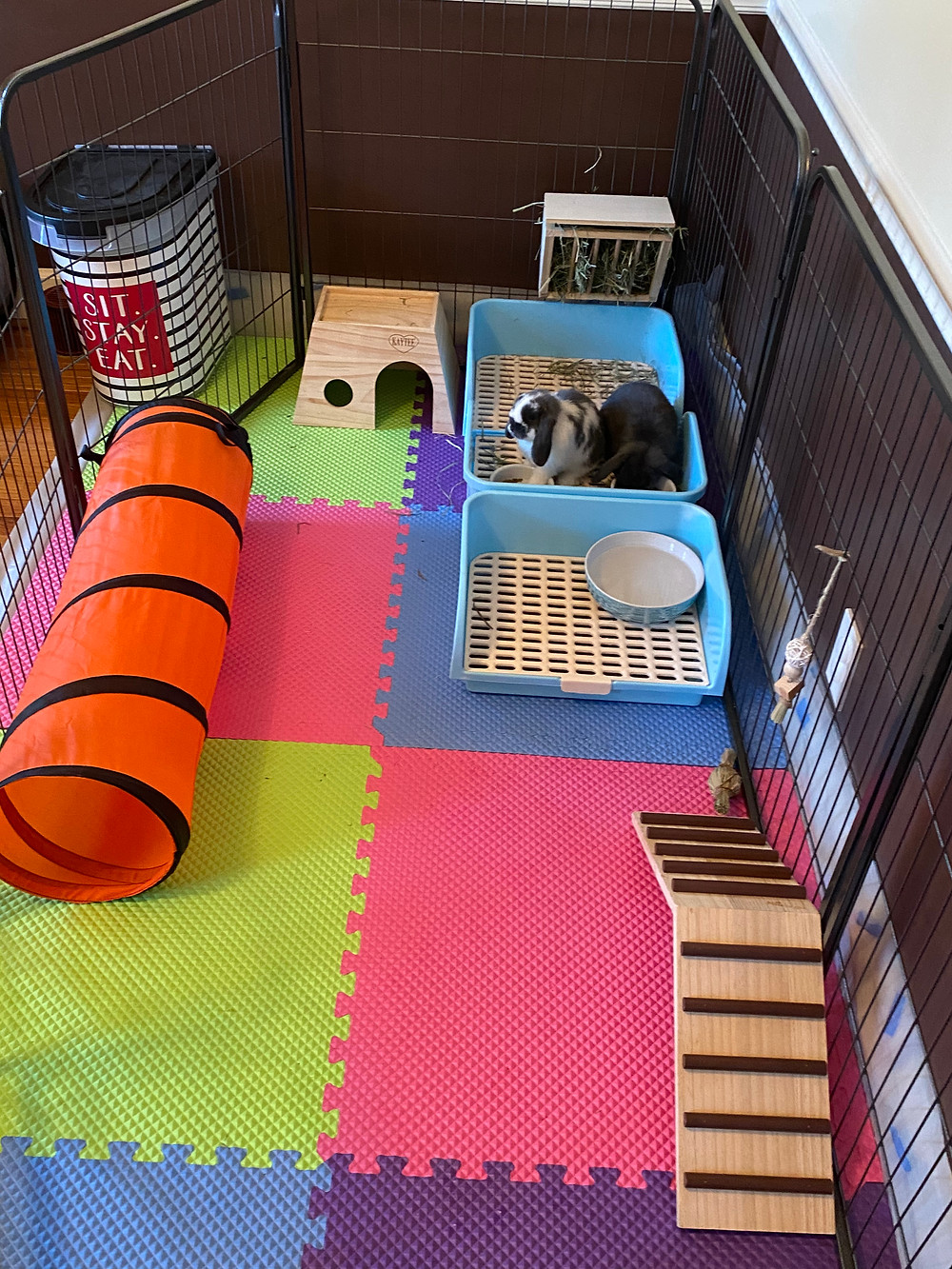 BestPet Pet Playpen Dog Kennel 8 Panel Indoor Outdoor Folding Metal Exercise Pen 32”