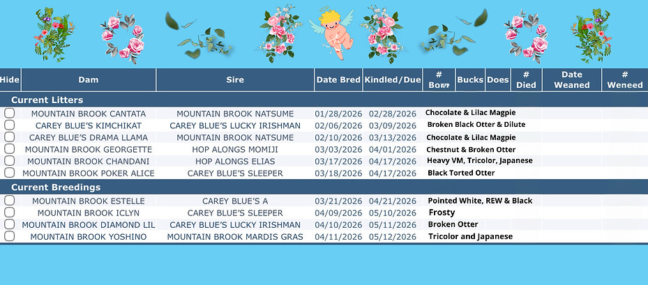 Mountain Brook Rabbitry