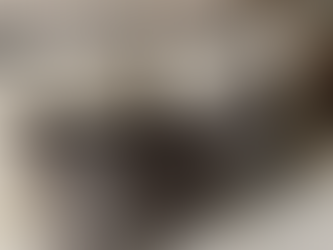 Stuff I Made: Pillows