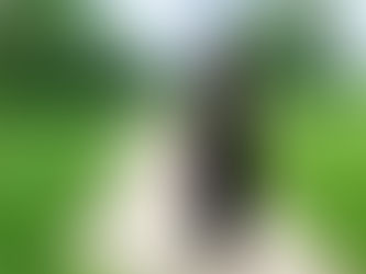 Summer LBD takes on First Friday