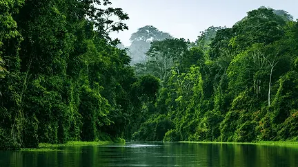 2c82b3ce-f947-4aa1-b789-925dbf5e18fd_desktop.webp