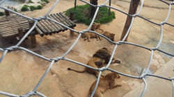 12933056_1576489369329064_1677604057528629728_n