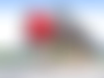 Embracing Sustainability: The Eco-Friendly Approach of Container Retail