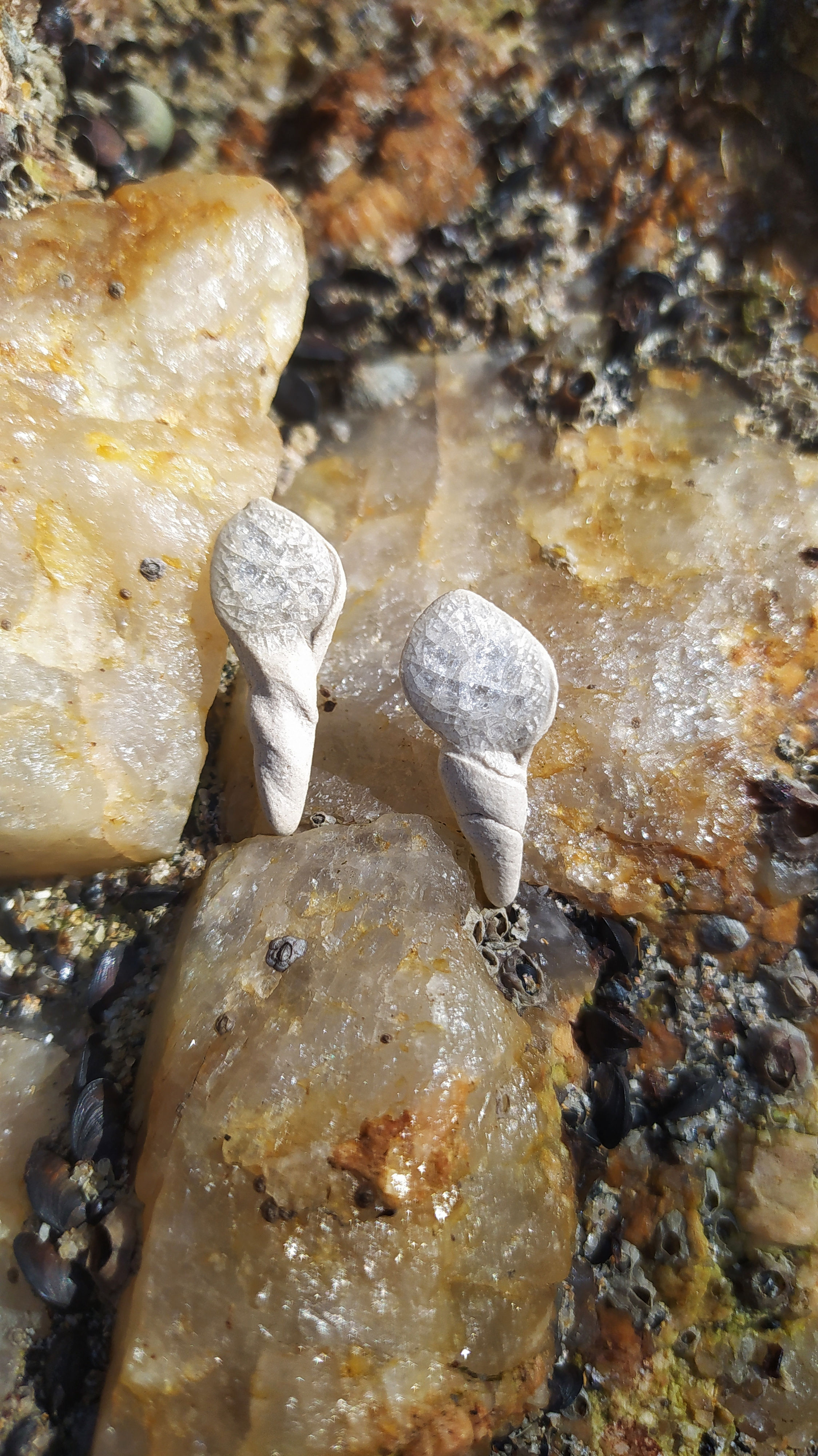 Joia de cerâmica de alta temperatura em tom creme. Com inspiração nas formas das conchas que povoam o mar de Paraty.