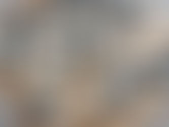 Investor Due Diligence