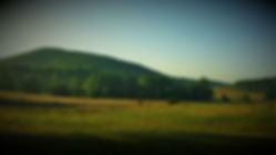 scene 1 (2).jpg