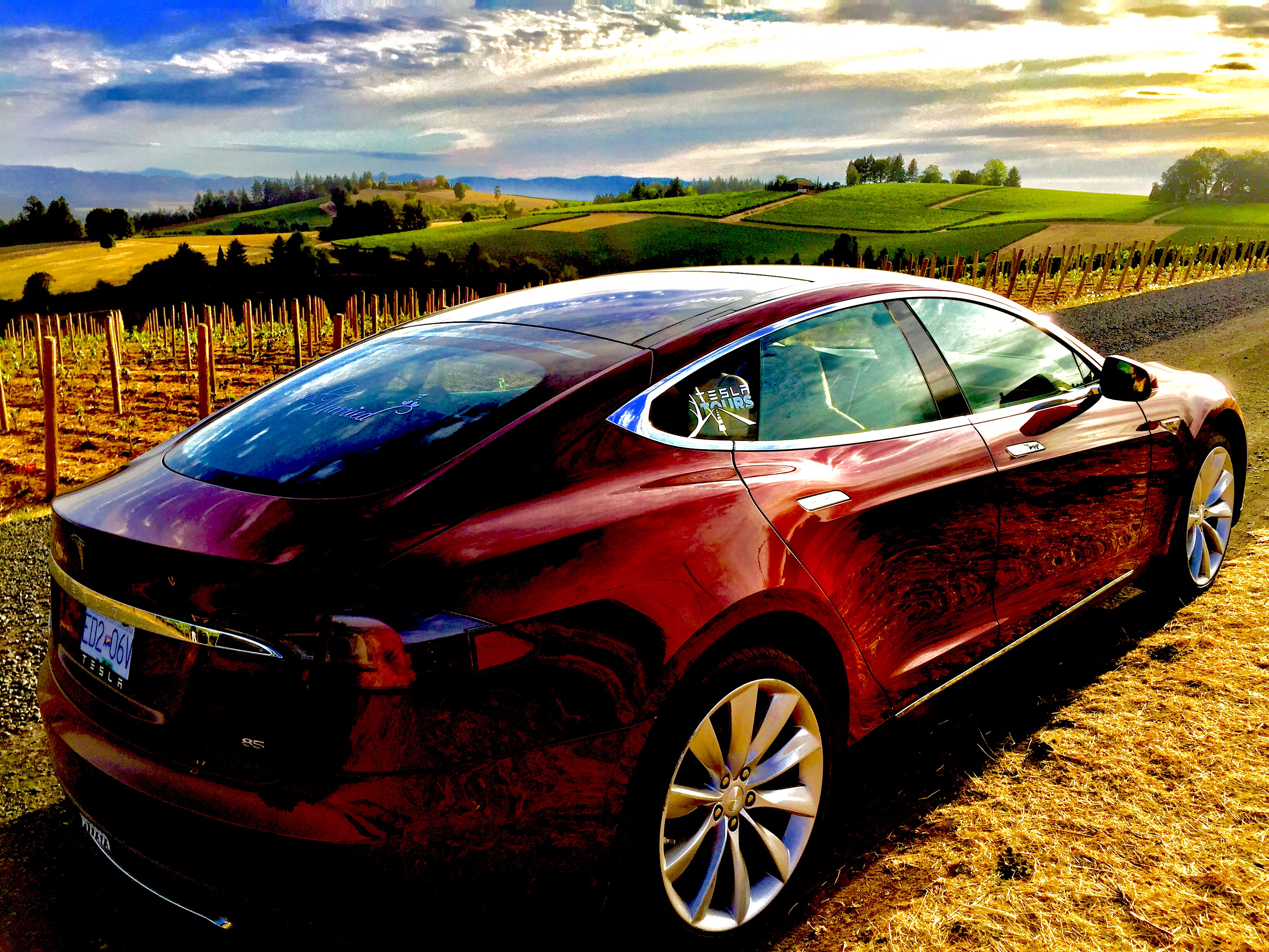 Meet Burgundár the Tesla Victoria, BC Tesla Tours