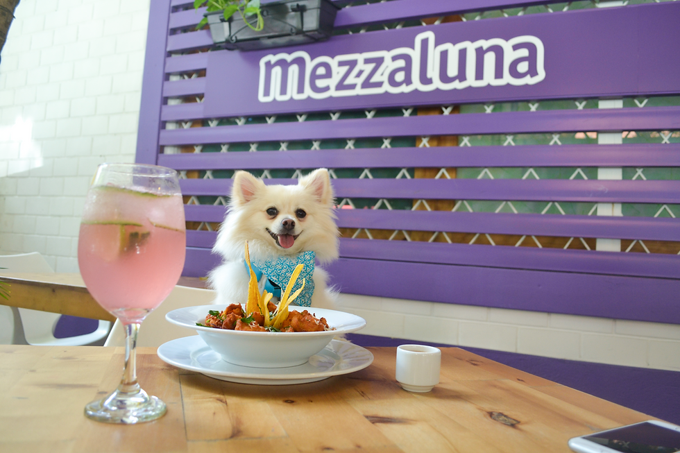 Rocco en Mezzaluna