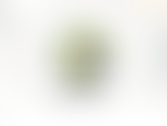 Empowering Students: Internships, Volunteering, and Field Research at AERO