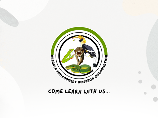 Empowering Students: Internships, Volunteering, and Field Research at AERO