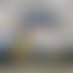 Workshop on “Forest-related Research in Goa”