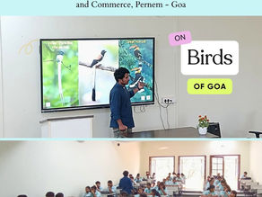 Exploring Goa’s Avian Treasures: A Lecture at Pernem College