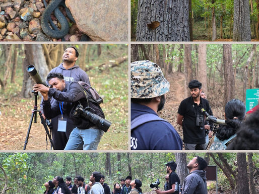 Goa Bird Festival 2026: A Feathered Finale in Valpoi