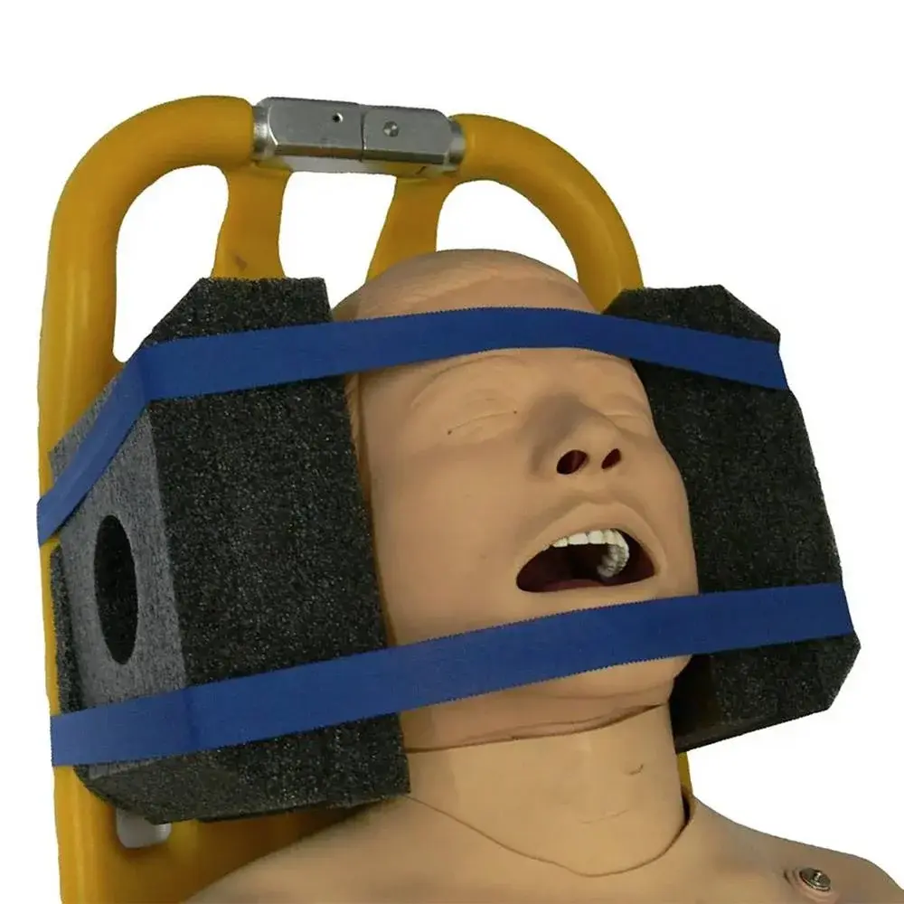 Prometheus Steady-Head Head Immobiliser X-Ray Translucent