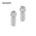縮圖：Capsule / Rose Preface Tassel Earring