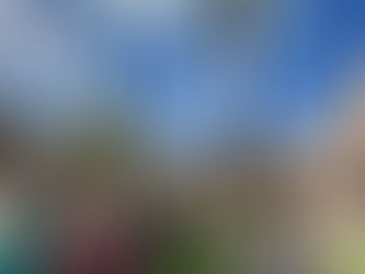 Proposed state bill would impose high fines on 'party house' hosts