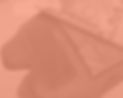 Ashley-Fulcher-Background3.jpg