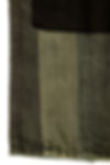 FS200527t-TShanger.jpg