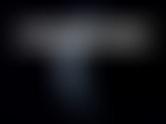 Luna Nueva en Sagitario 2024